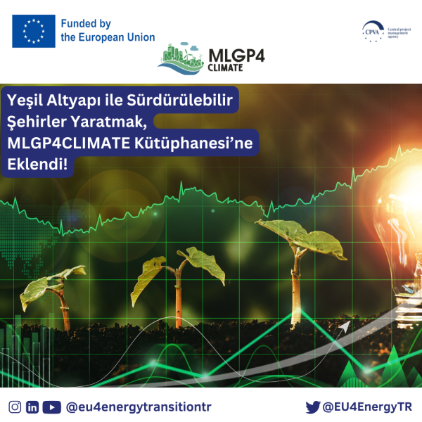 Creating sustainable cities with green infrastructure